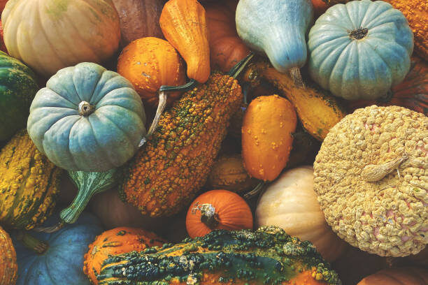Gourds & Seasonal Produce
