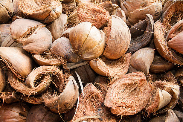 Pile coconut shell for use as fuel